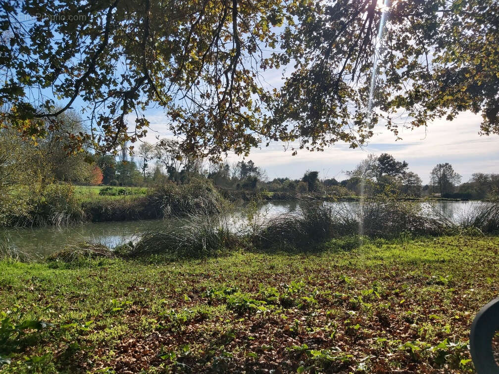 Maison à CASTELJALOUX