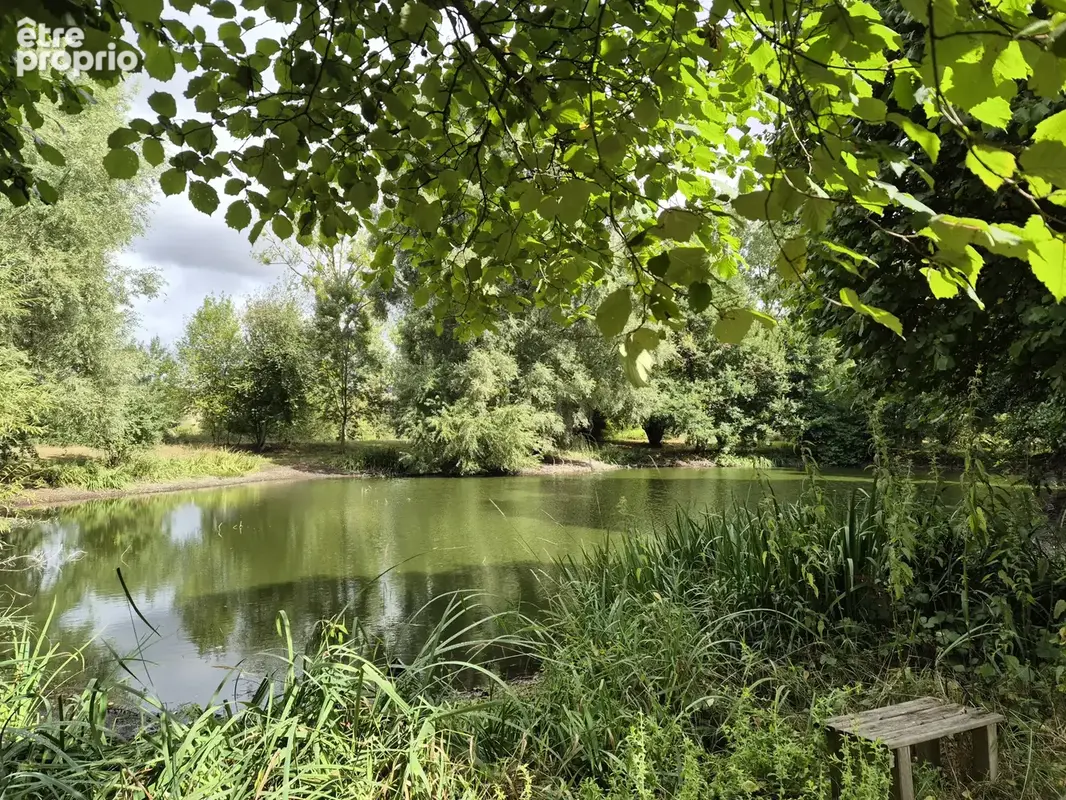 A 2 minutes de Londinières - photo 11
