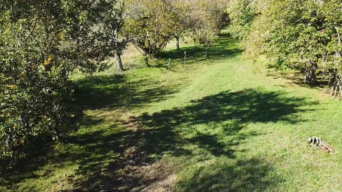 Terrain à L'ISLE-JOURDAIN