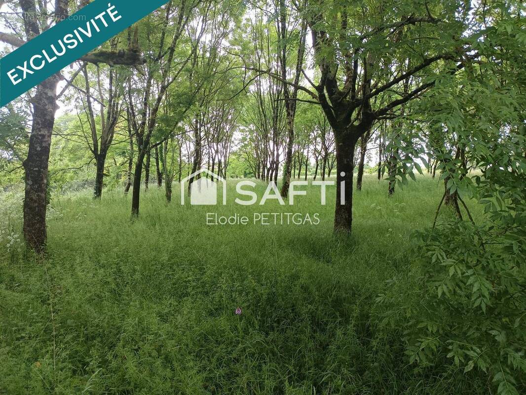 Photo 1 - Terrain à FONTENAY-LE-COMTE