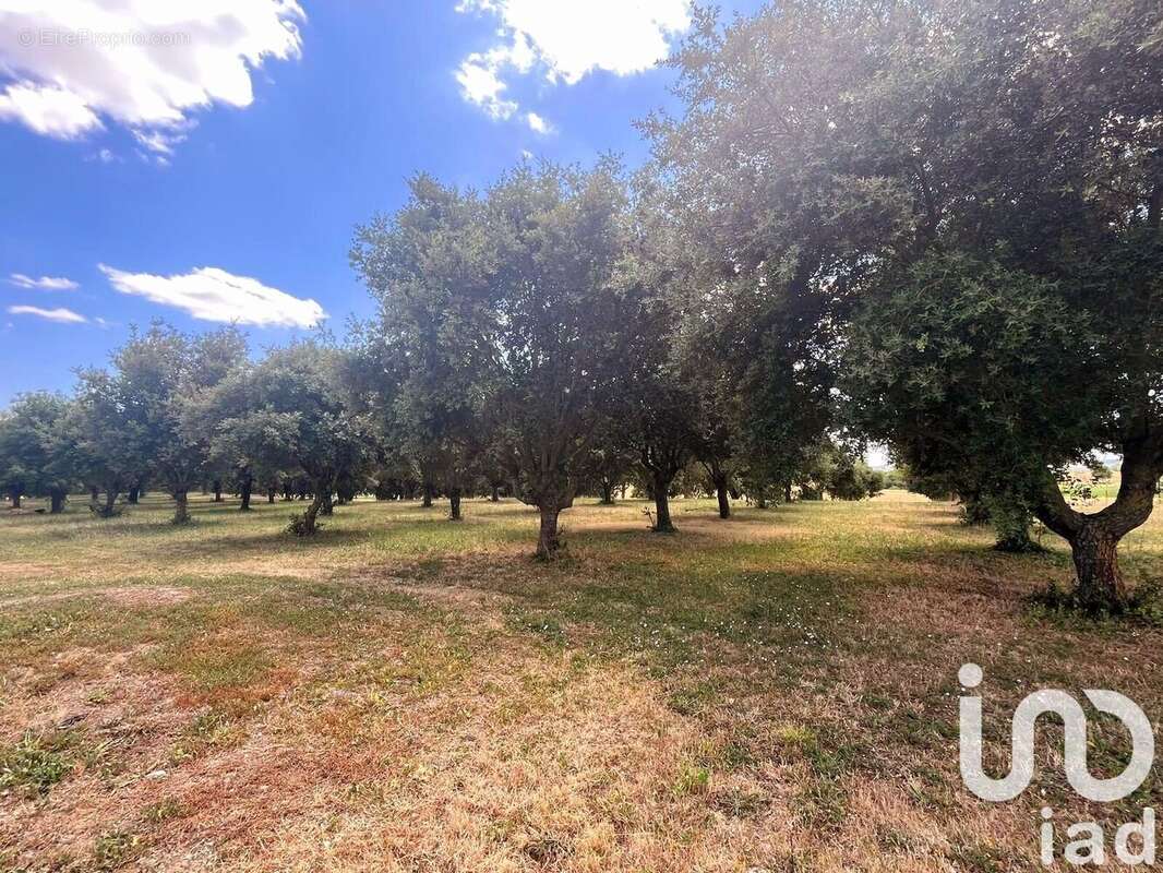 Photo 4 - Maison à NOYANT-DE-TOURAINE