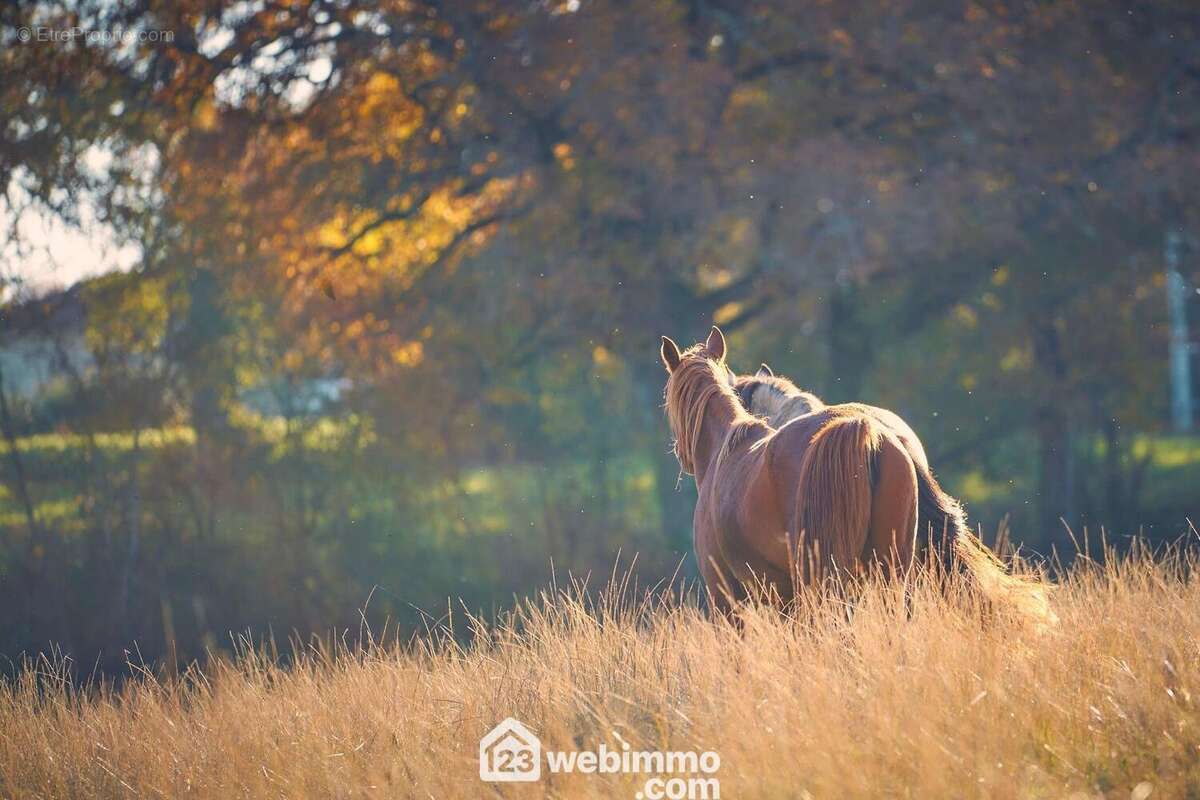 Maison à COURRENSAN