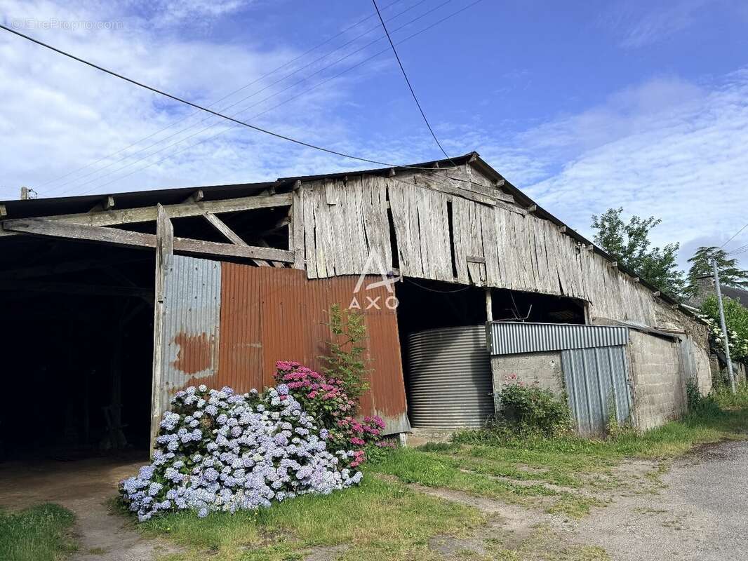 Maison familiale rénovée avec vie de plain-pied, grand terrain et hangar de plus de 300 m² - photo 8