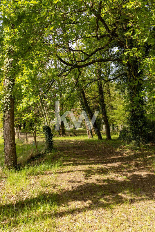Maison 253 m² à Trainou  - photo 9