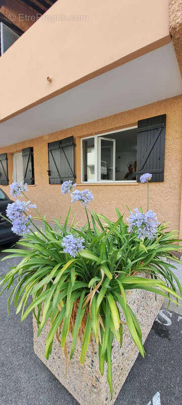 Appartement à SAINT-CYR-SUR-MER