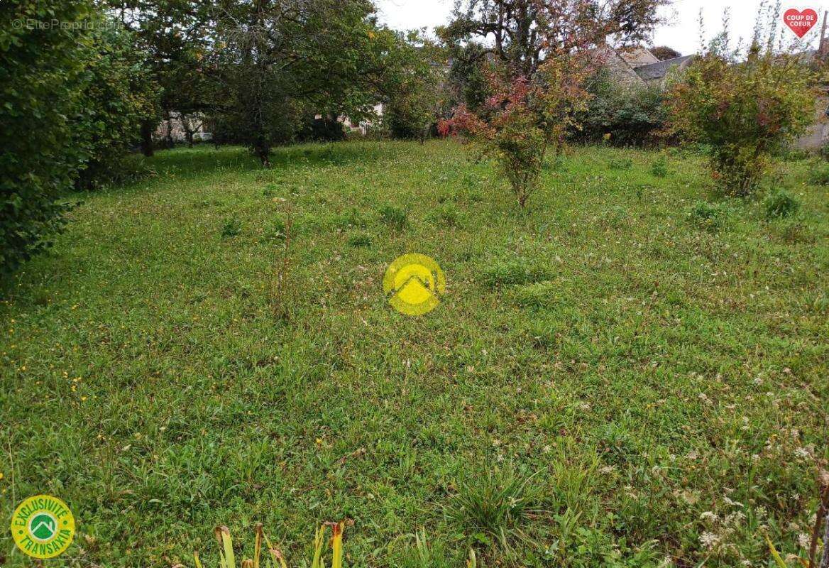 Terrain constructible 1002 m2 - photo 9