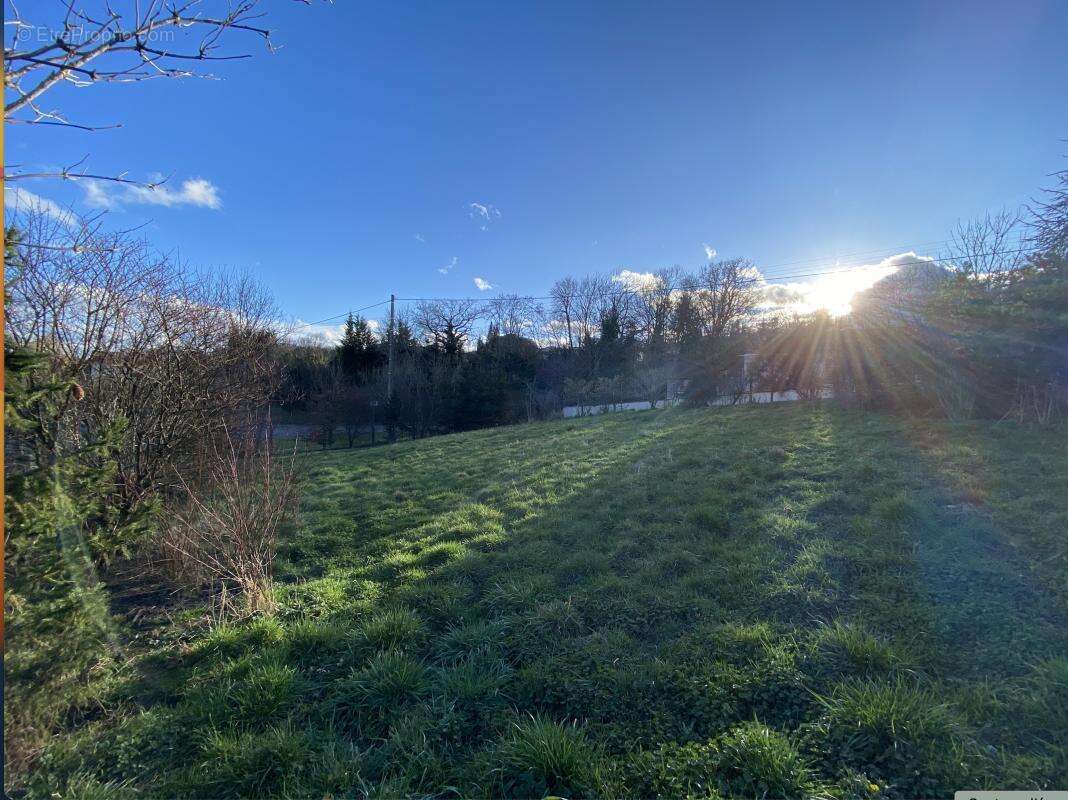 Terrain à MONTBRISON