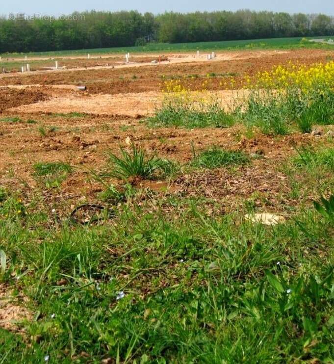 Terrain à NEUVE-CHAPELLE