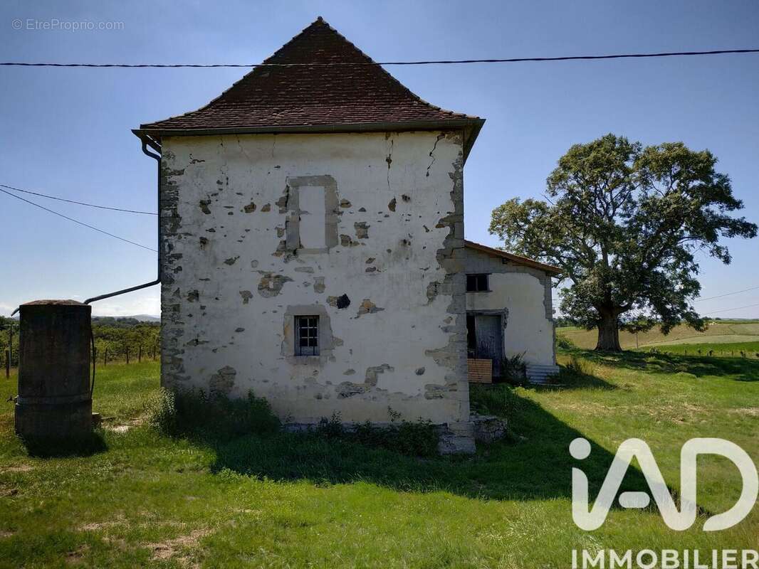Maison 360 m² à Domezain-Berraute  - photo 4