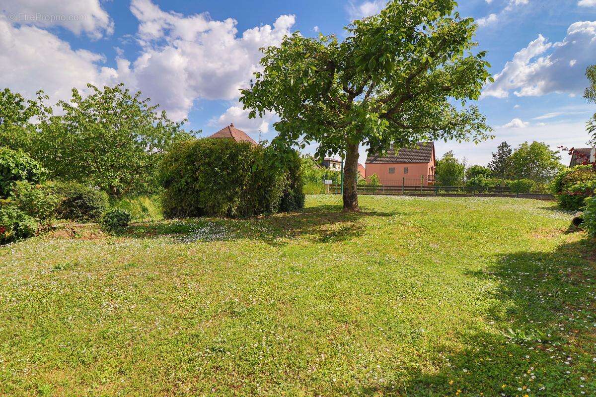 Terrain à HATTSTATT