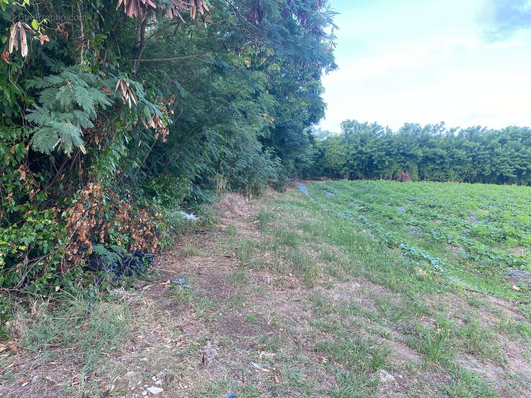 Terrain à LE VAUCLIN