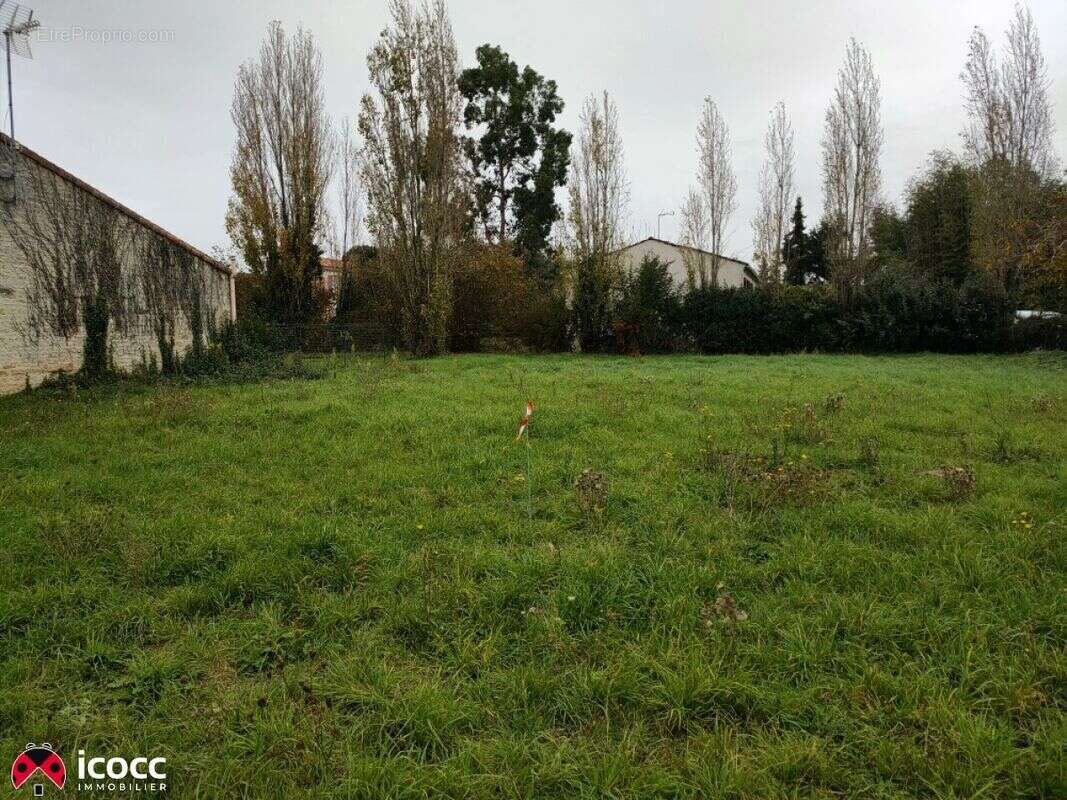 Terrain à SAINTE-GEMME-LA-PLAINE