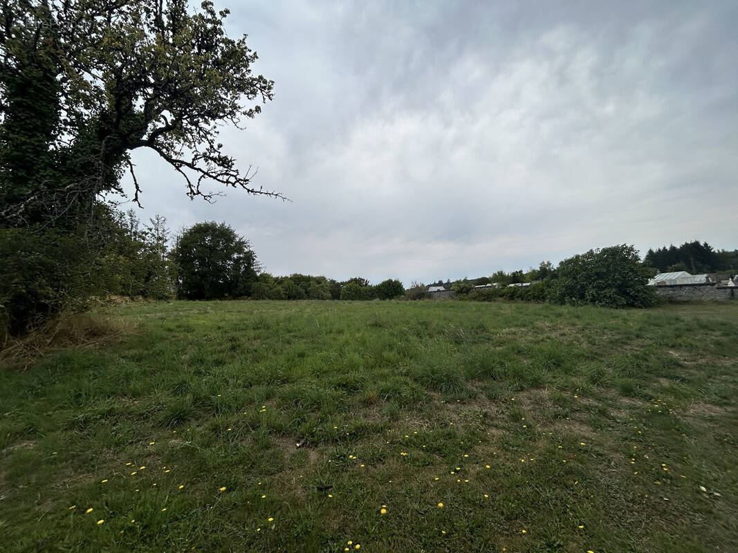 Terrain à NAVES