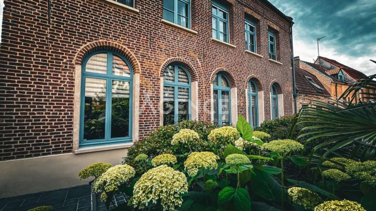 Maison à SAINT-OMER