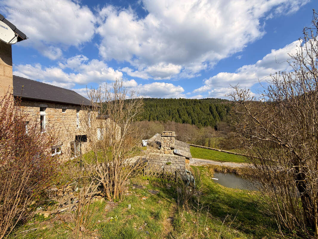Maison à TENCE