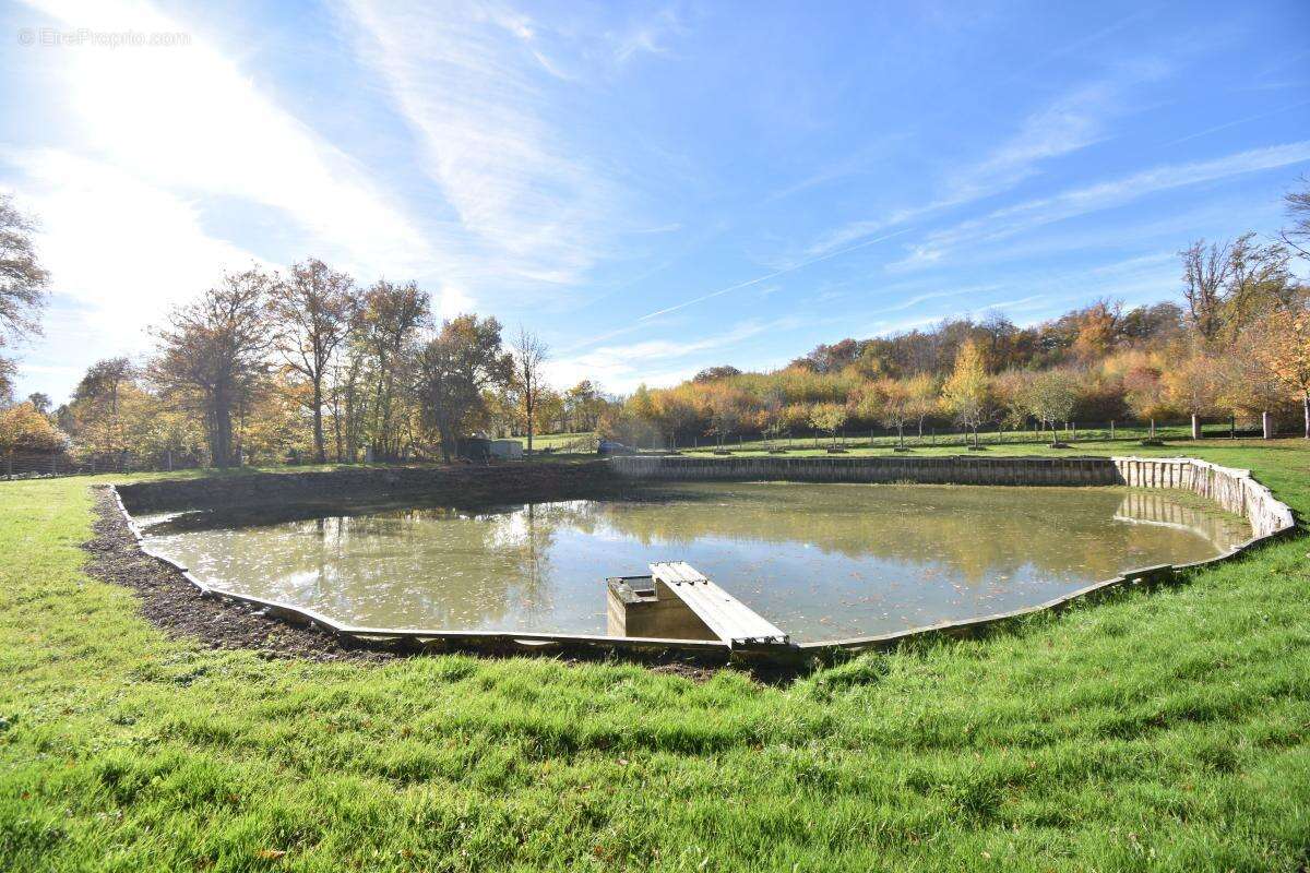 Terrain à SAVIGNY-EN-SANCERRE