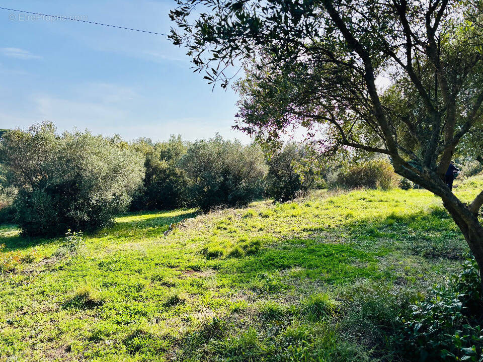 Terrain à OLLIOULES