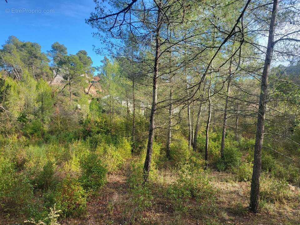 Terrain à BRIGNOLES