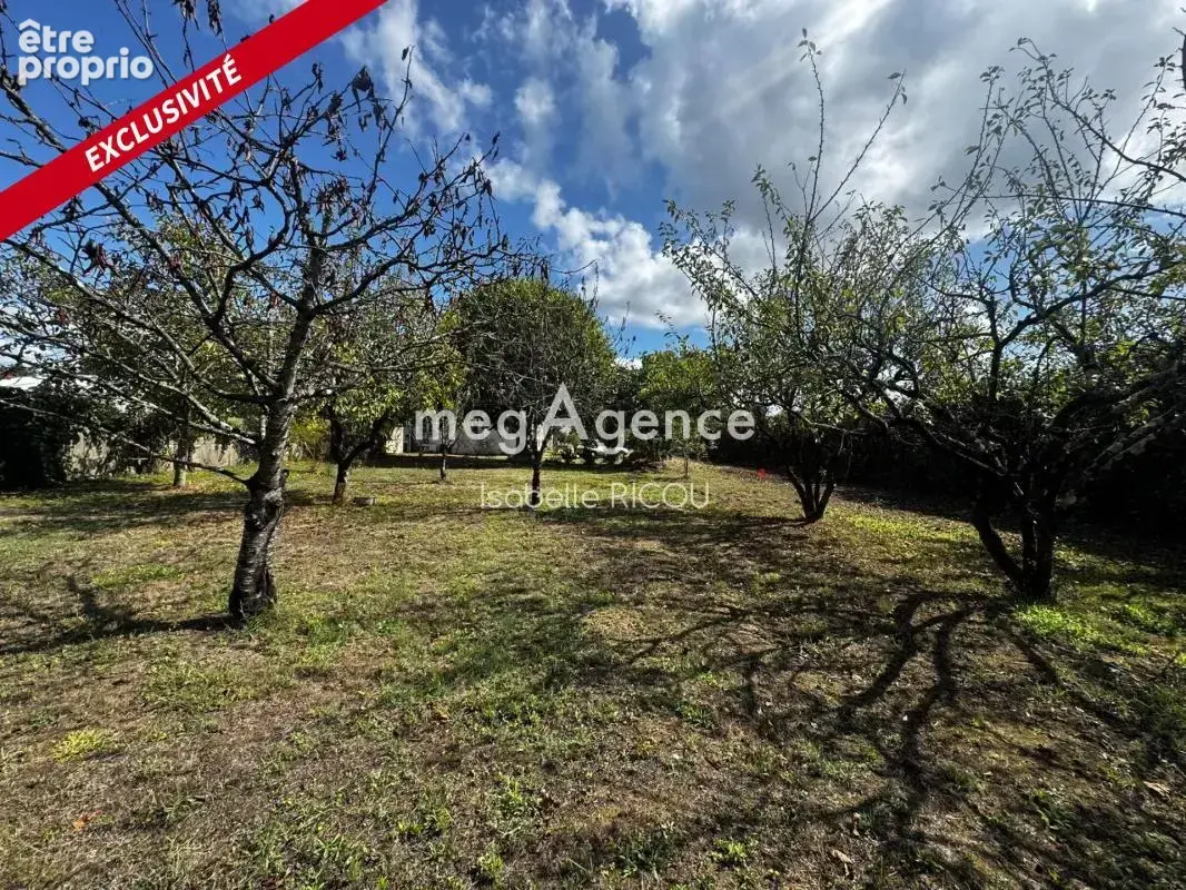 Dolus d'oleron (17550), terrain a batir de 721m² - photo 3