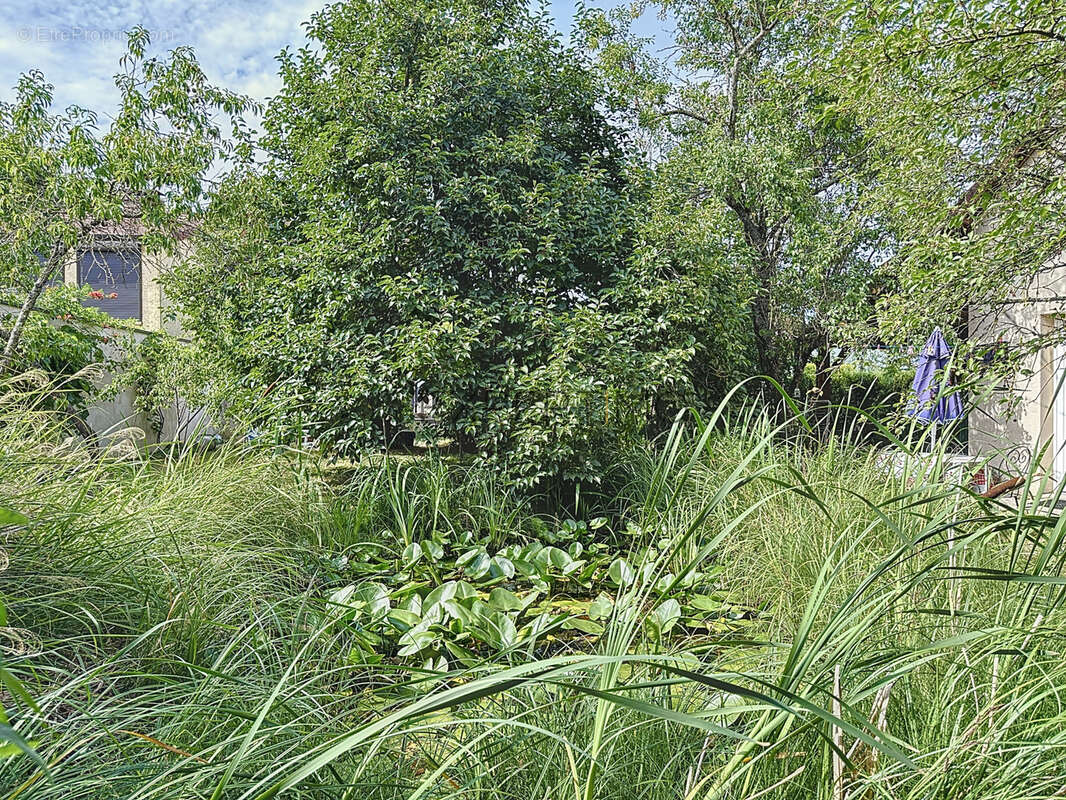 Charmante maison avec 2 gîtes indépendants à Sennecey-le-Grand : Calme, Potentiel et Revenu - photo 40
