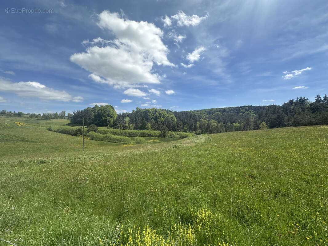 Maison à PRESAILLES