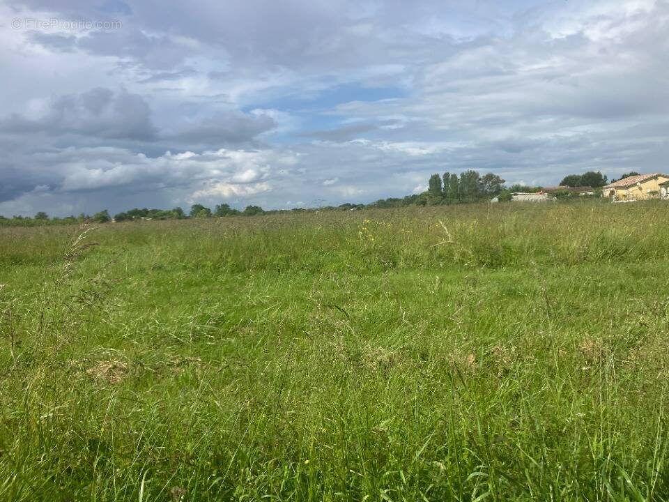 Terrain à MIRAMONT-DE-GUYENNE
