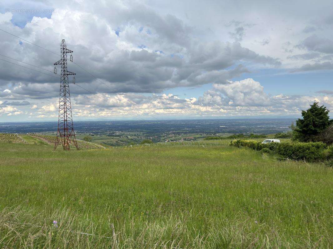 Terrain à MONTMELAS-SAINT-SORLIN