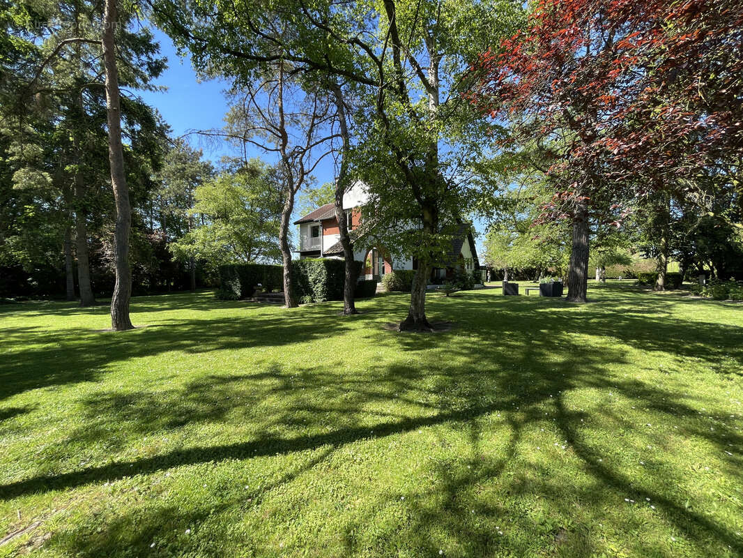 Maison à LOISON-SOUS-LENS