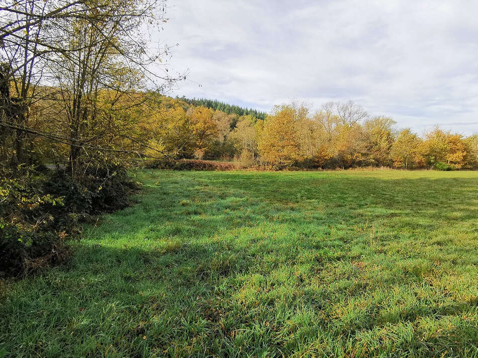 Terrain à FRUGIERES-LE-PIN