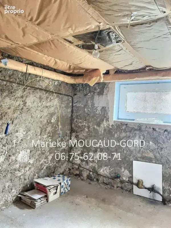MONISTROL SUR LOIRE 43120 CENTRE VILLE maison 87m² 3 chambres garages sur 390m²  de terrain - photo 15