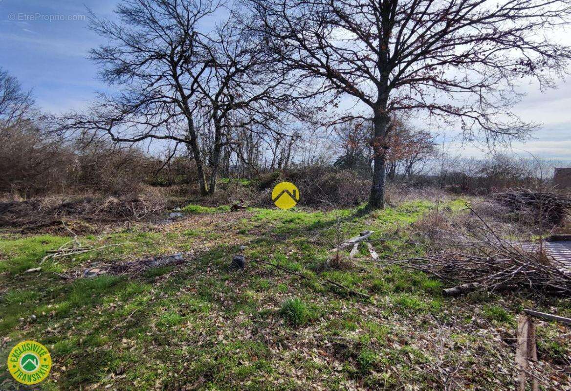 Terrain à JOUET-SUR-L&#039;AUBOIS