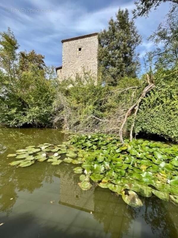 Dpt  (32) : ELEGANT CHATEAU XIX, sans travaux, bases médievales avec douves, piscine, sur 9100m2 jardin clos - photo 57