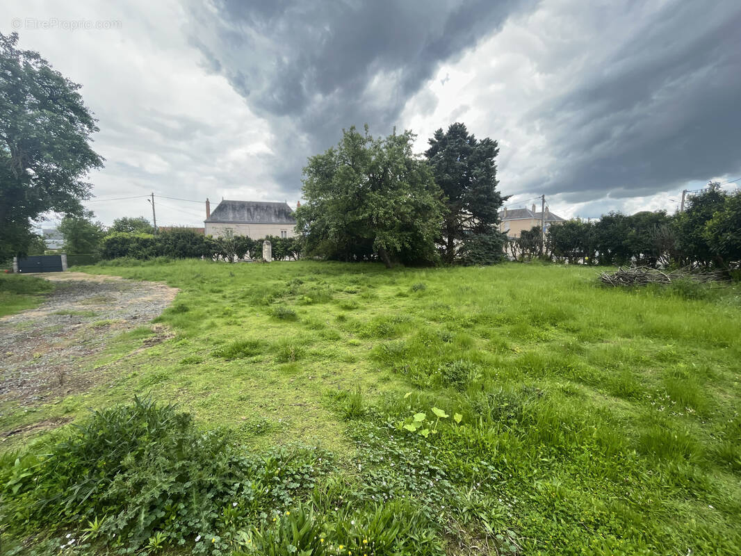 Terrain à BRION-PRES-THOUET