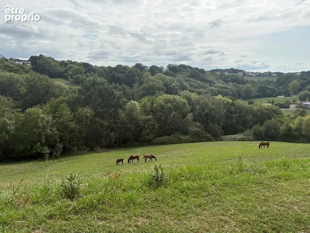 Maison Ahetze, vue incroyable. - photo 7