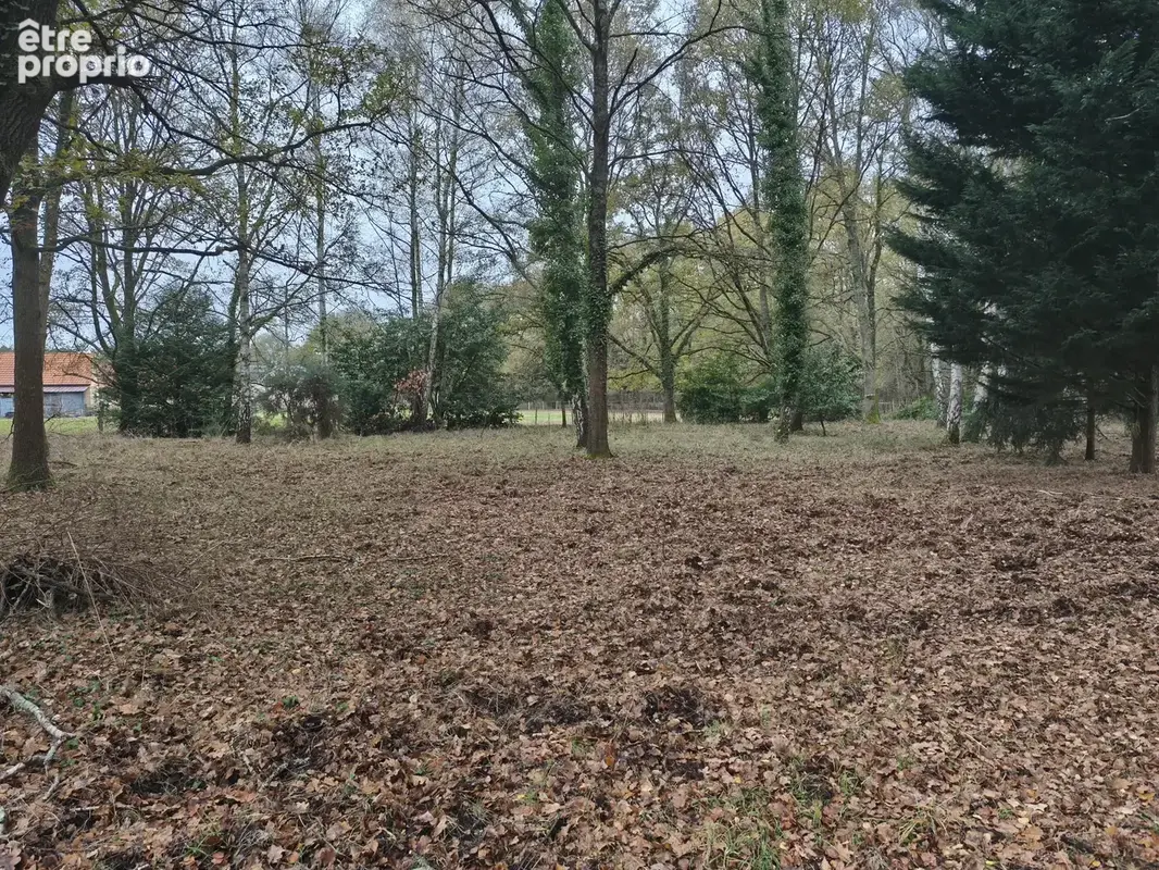 Terrain de loisir en foret au pied du circuit des 24h - photo 5