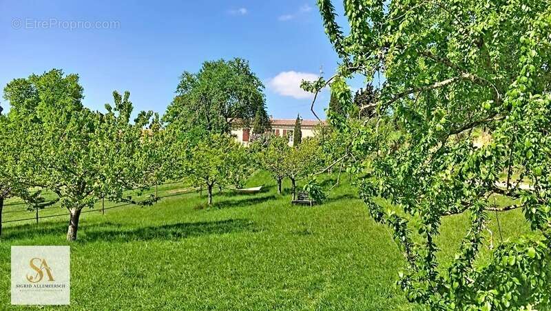 Domaine de caractère de 304 m² sur plus de 60 hectares d’un seul tenant – Entre nature, élégance et art de vivre - photo 26