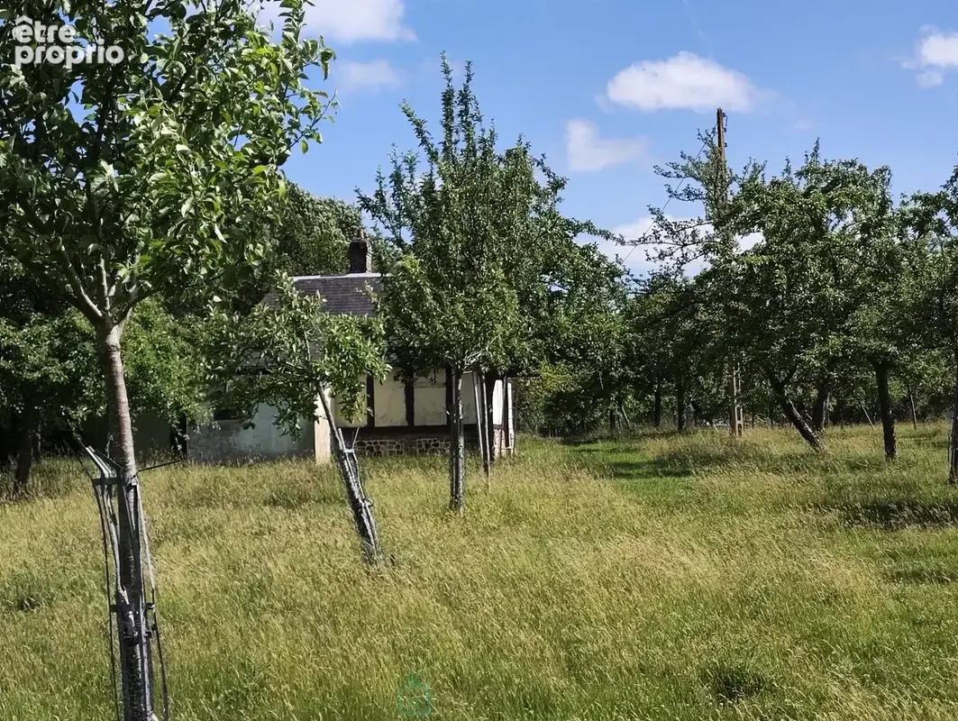 A proximité de Broglie, ensemble sur plus de 4ha, maisonnette, dépendances et bois de 3ha - photo 16
