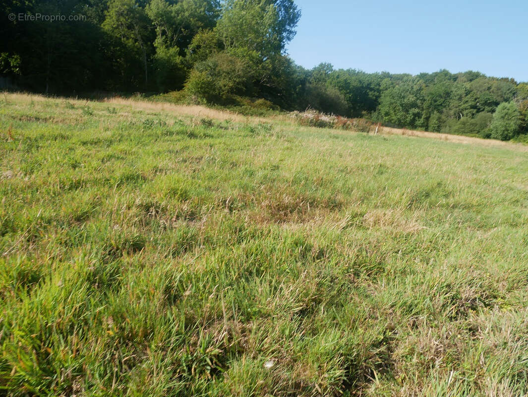 Maison à SAINT-JOSSE