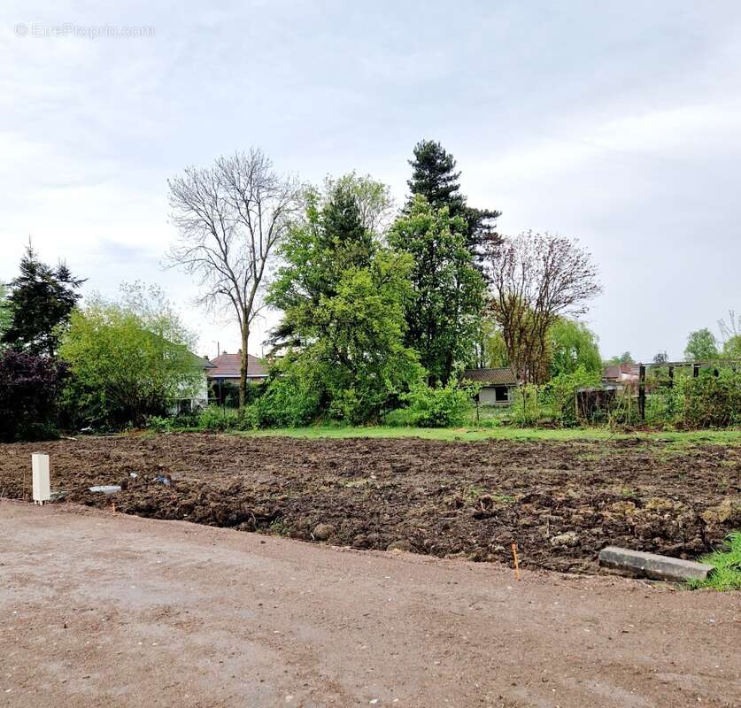Terrain à BAILLEUL