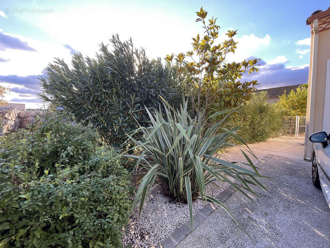Maison à SALLES-D&#039;AUDE