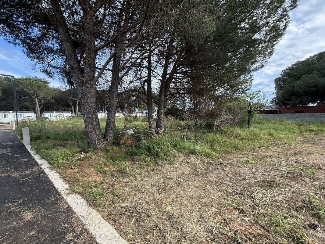 Terrain à SERIGNAN