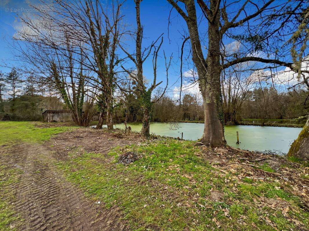 Maison à LA FERTE-SAINT-CYR