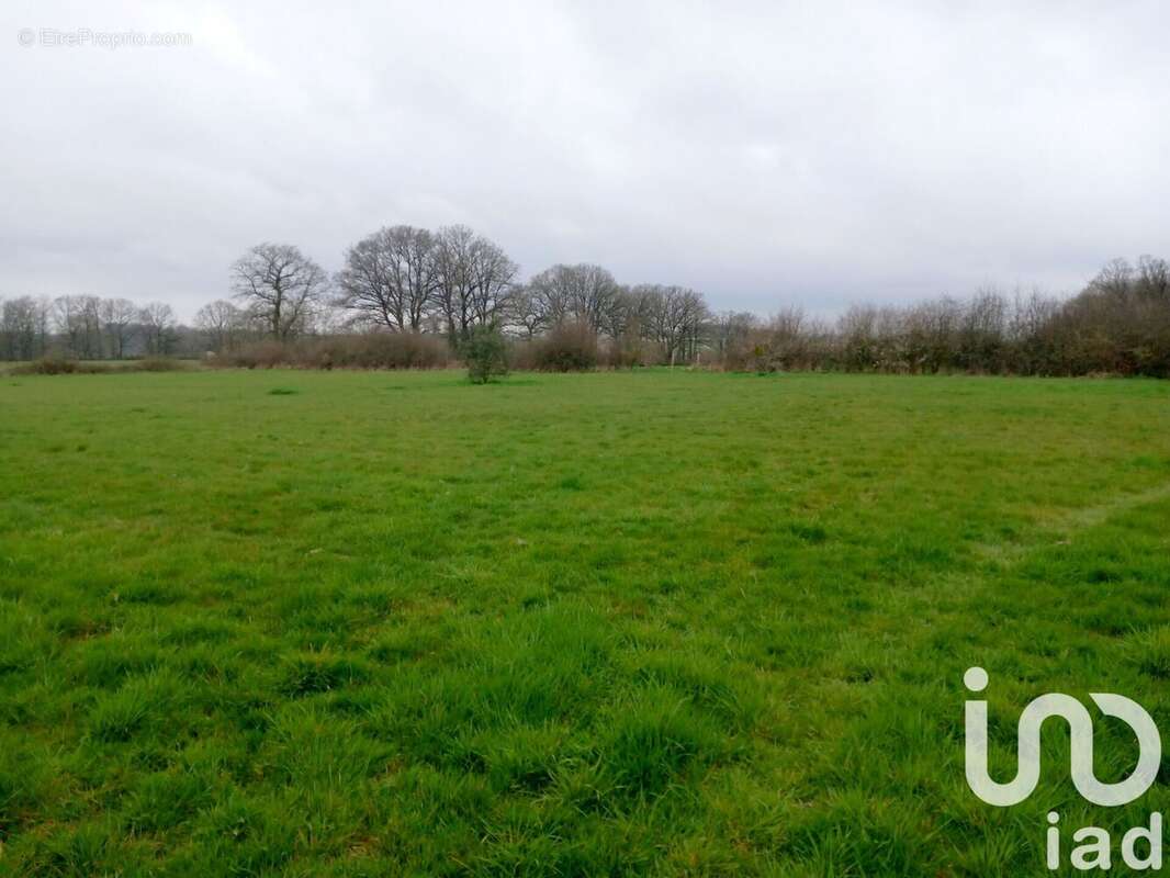 Photo 5 - Maison à SAINT-VICTOR-DE-BUTHON