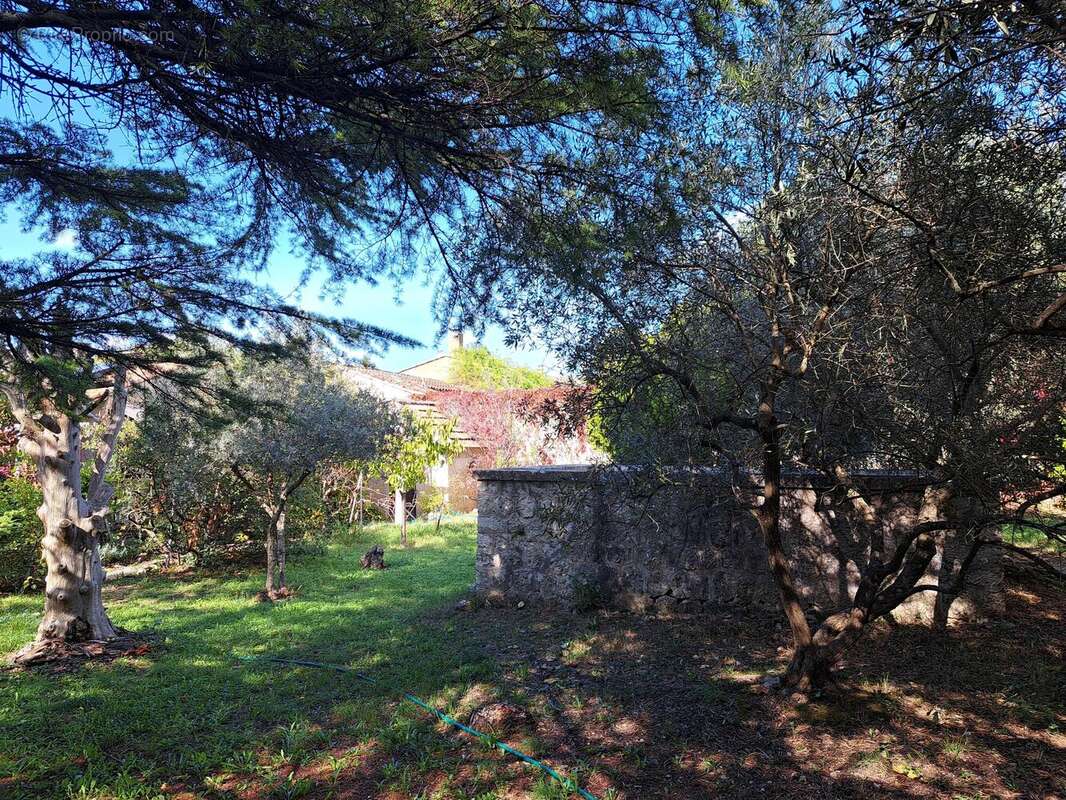 Photo 3 - Terrain à LAGNES