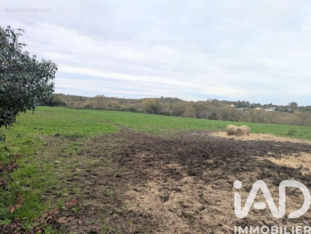 Photo 3 - Terrain à SAINT-CAPRAIS-DE-BORDEAUX