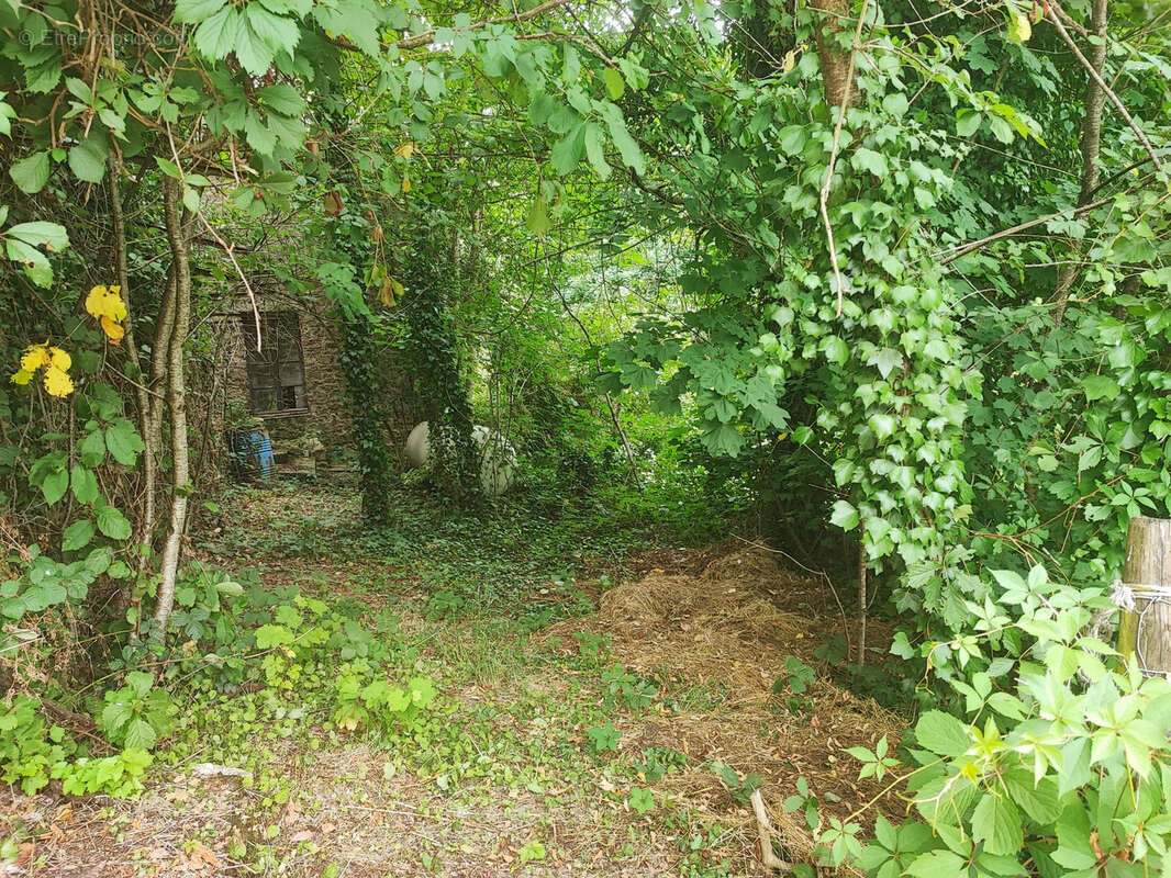 Appartement à CASSAGNES-BEGONHES