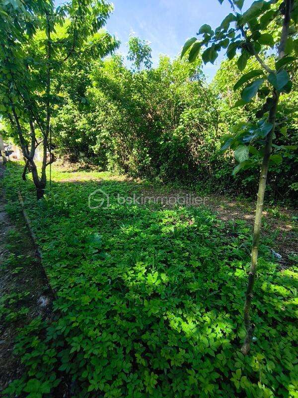 Ensemble immobilier rare - Deux habitations sur une même parcelle - photo 10