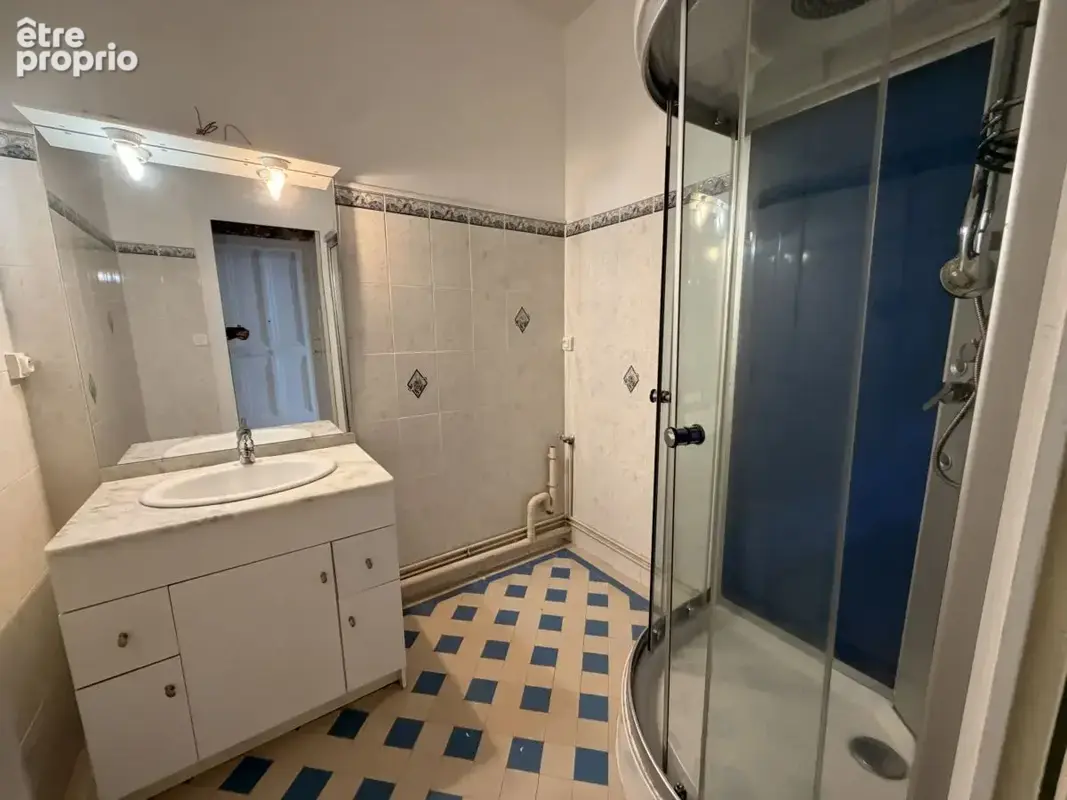Vichy   appartement t3 de charme à deux pas des parcs et des thermes - photo 9