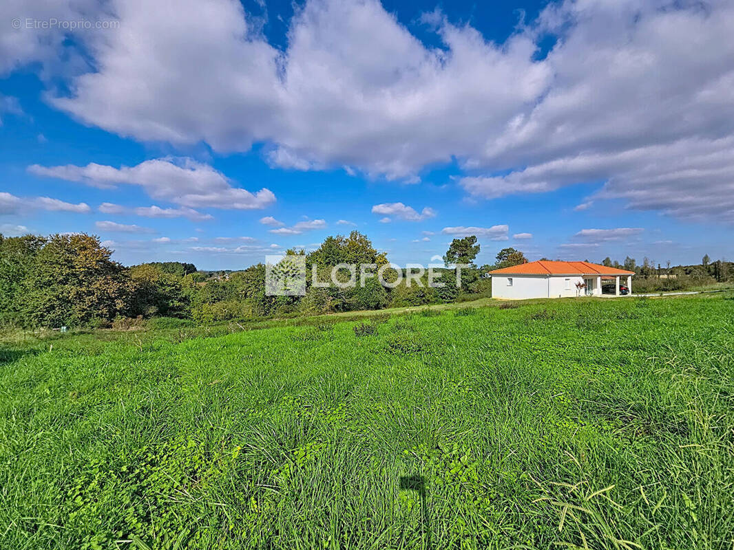 Terrain à ORTHEZ
