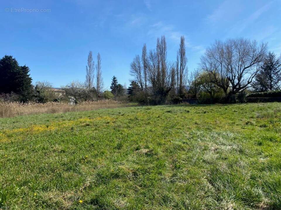 Terrain 668 m² à Cruas  - photo 4